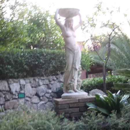 Garden View *